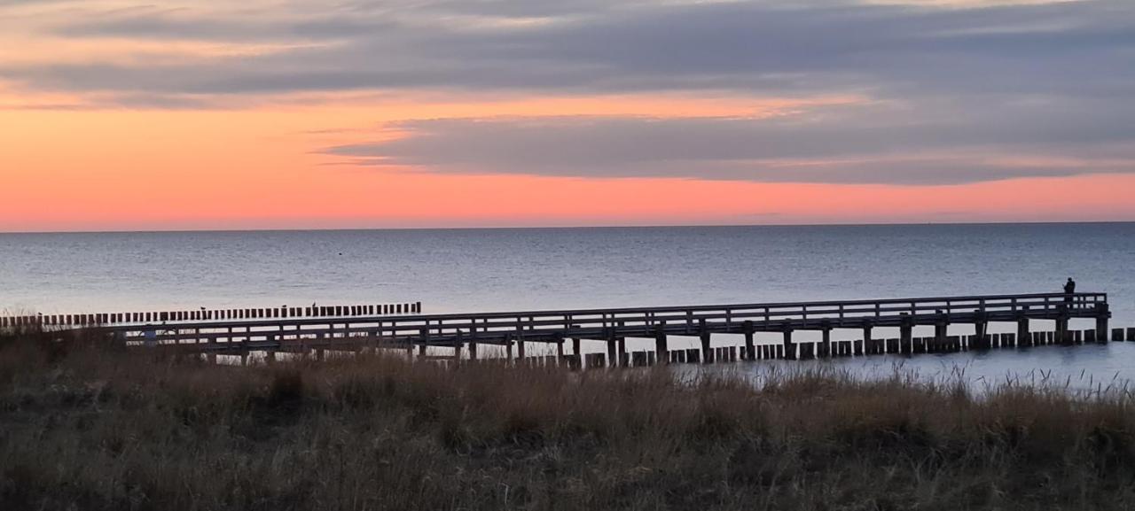 Haus Nadine Apartment Zingst Bagian luar foto