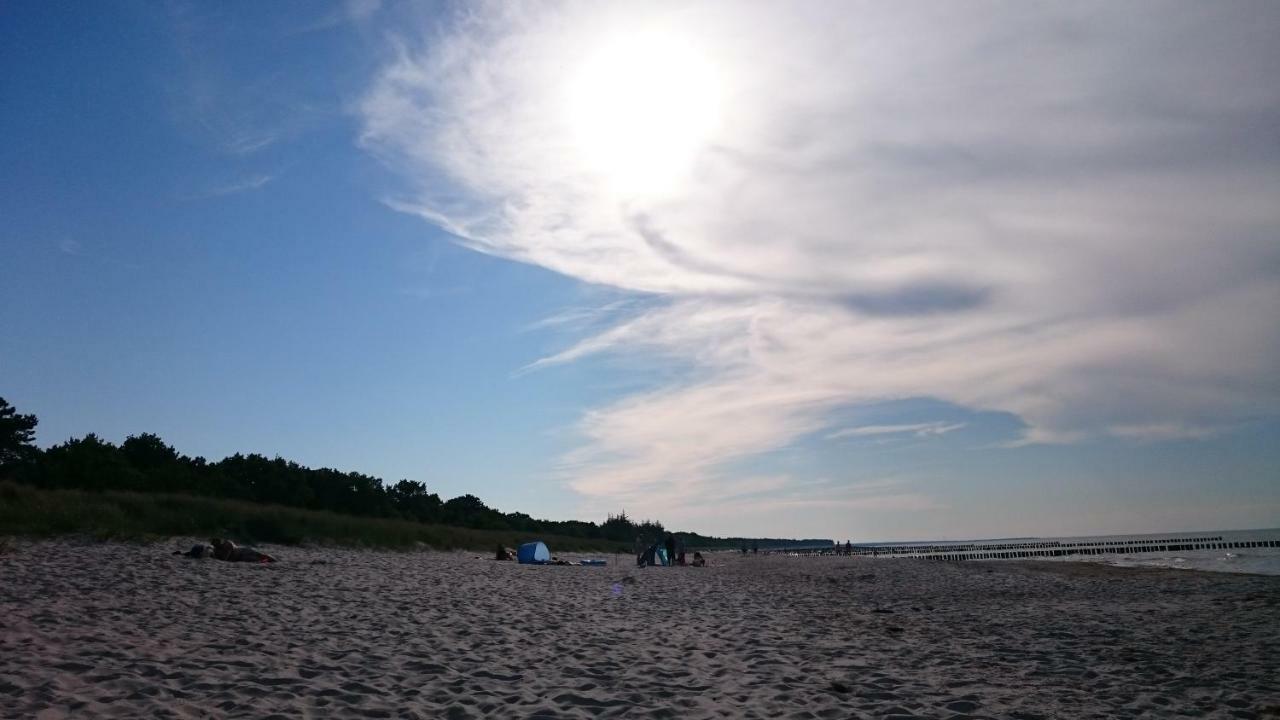 Haus Nadine Apartment Zingst Bagian luar foto